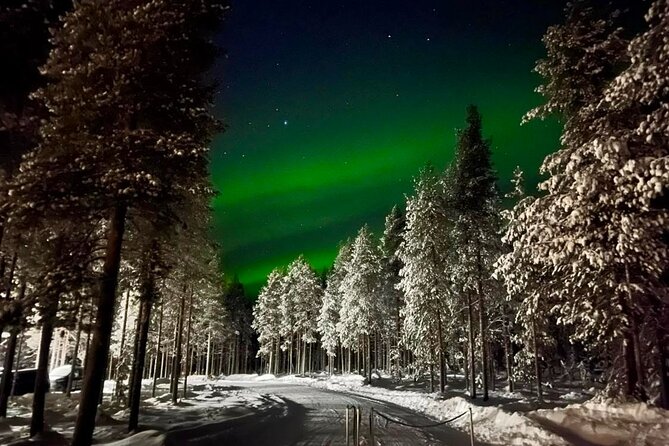 1 Day Pass Lapland Winter Park in Rovaniemi - Sleds, skiing, snowshoeing, and ice skating gear you don’t have to rent
