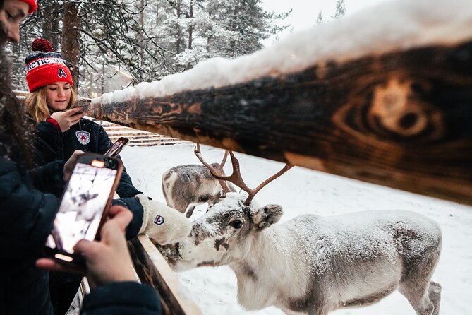 1 Day Pass Lapland Winter Park in Rovaniemi - What costs extra: motorized fun and the activities not on your ticket