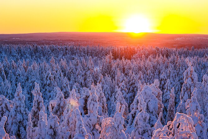 1-Hour Snowmobile Safari Adventure in Rovaniemi - What the short safari time really gives you