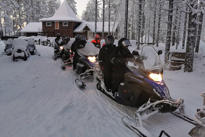 1-Hour Snowmobile Safari Experience - Key highlights you’ll care about