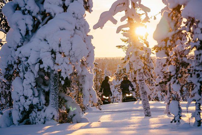 1-Hour Snowmobile Safari Experience - Enter Arctic Circle Snowmobile Park near Santa Claus Village