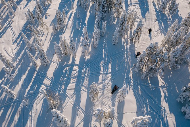 1-Hour Snowmobile Safari Experience - Price and value: what $120.15 buys you, and what can add up