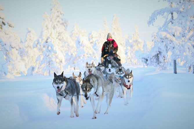 10 km Authentic Husky Safari in the Taiga Forest – Family Kennel - Pickup and the long drive: planning for the one-hour transfer
