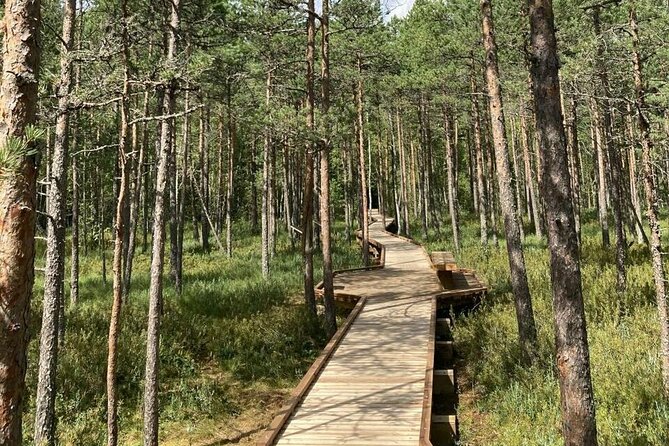 2.5 Hours Hike in Vaattunkikongas Forest Trail - Key highlights you’ll actually notice