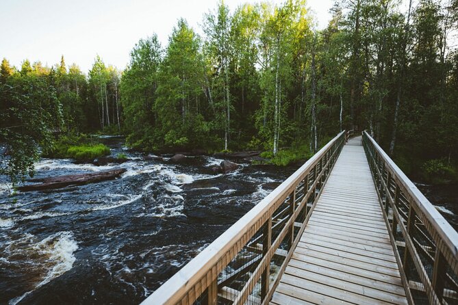 2.5 Hours Hike in Vaattunkikongas Forest Trail - The warm drink stop: why it matters more than you think