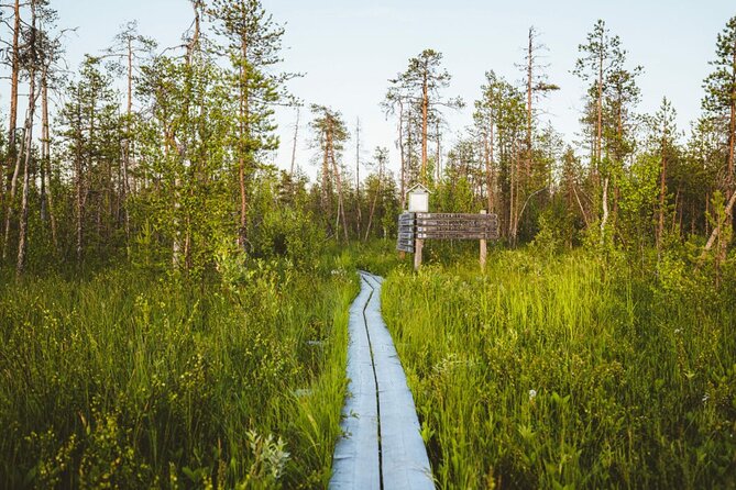2.5 Hours Hike in Vaattunkikongas Forest Trail - Price and value: what $107.76 buys you here