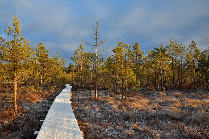 2.5 Hours Hike in Vaattunkikongas Forest Trail - Who should book this (and who might want to choose something else)