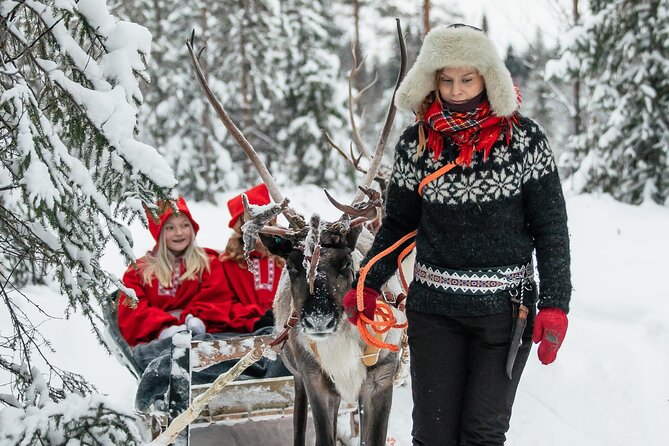 2km Sleigh Ride & Feeding Experience at Traditional Reindeer Farm - What You Actually Pay: Value for $116