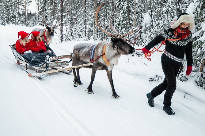 2km Sleigh Ride & Feeding Experience at Traditional Reindeer Farm - Practical Tips: What to Wear Since Winter Clothing Isn’t Included