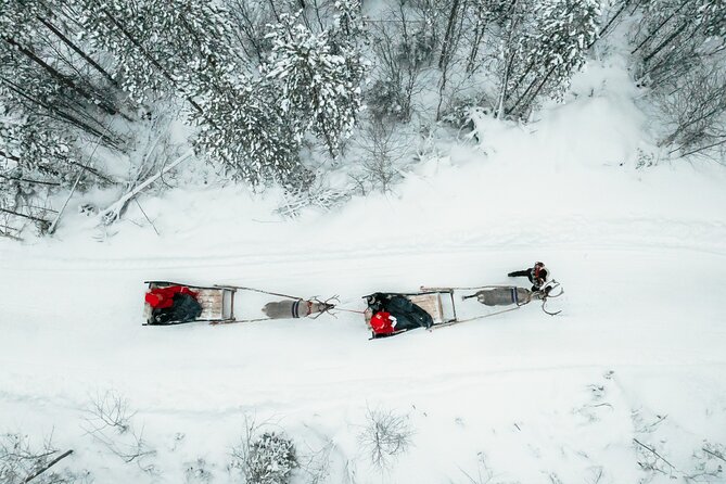 2km Sleigh Ride & Feeding Experience at Traditional Reindeer Farm - Pickup and Getting Settled Before the Sleigh Ride