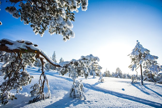 All Day Snowmobile Driving - Price and value: what $319.50 covers (and why it can be worth it)