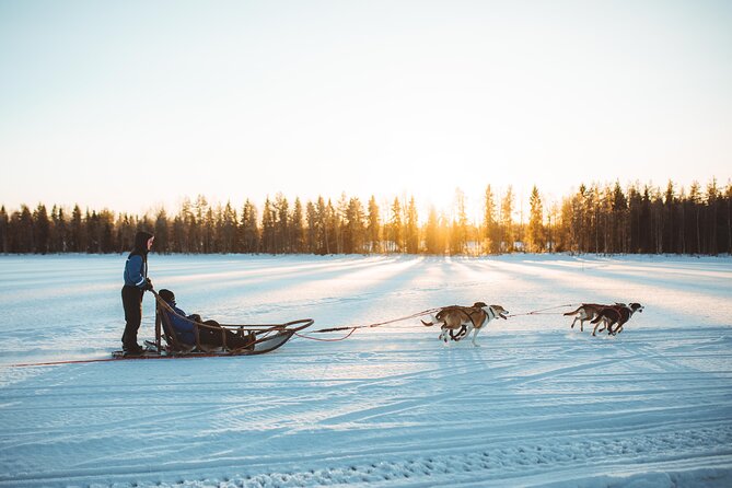 Apukka Husky Adventure in Rovaniemi - Pickup and timing: how to avoid a day-start headache