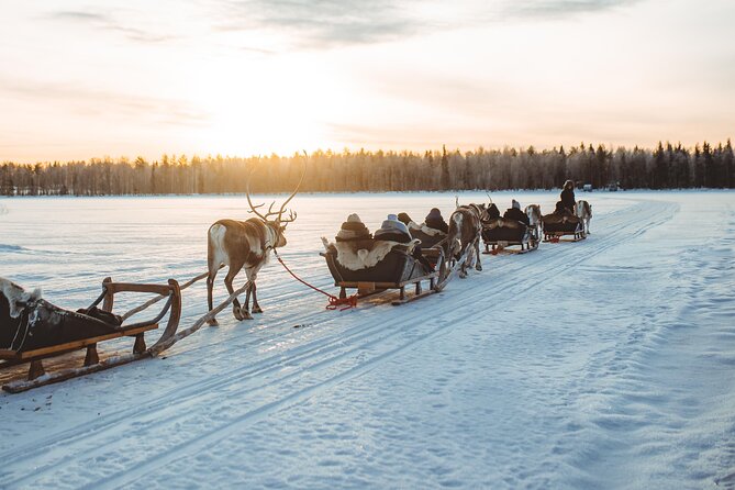 Apukka Reindeer Journey - Apukka Reindeer Journey: what this experience is really about