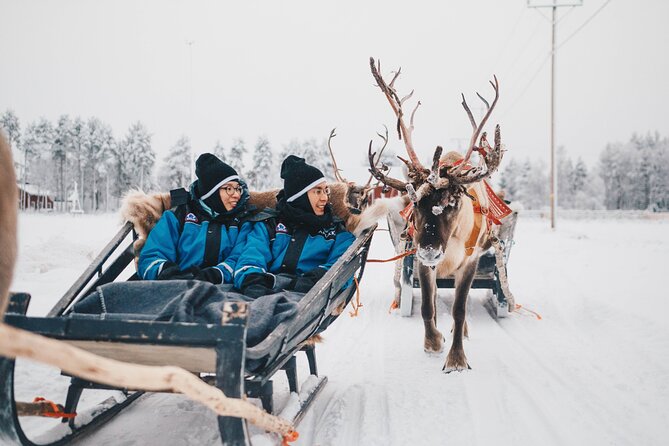 Apukka Reindeer Journey - Price and value: what $215.54 buys you