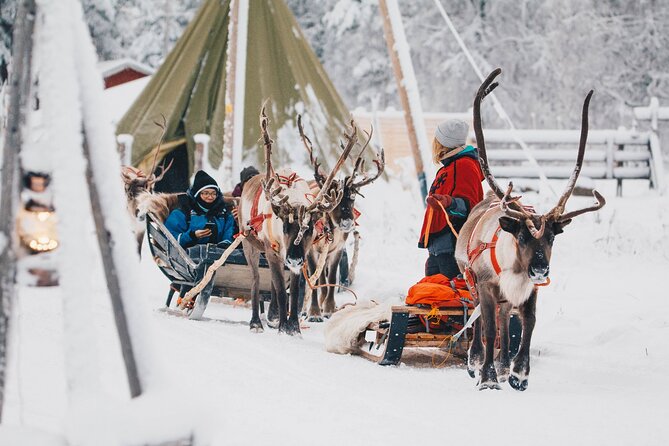 Apukka Reindeer Journey - Group size: when “up to 40” feels good or annoying