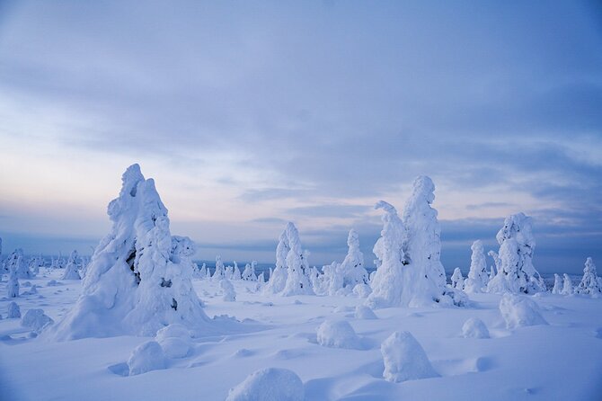 Arctic Adventure through Magical Frozen Forests of Riisitunturi - Key points before you go