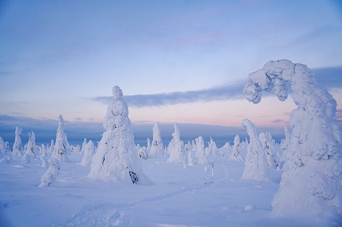 Arctic Adventure through Magical Frozen Forests of Riisitunturi - Campfire Snacks and Question Time: Warmth That Actually Helps