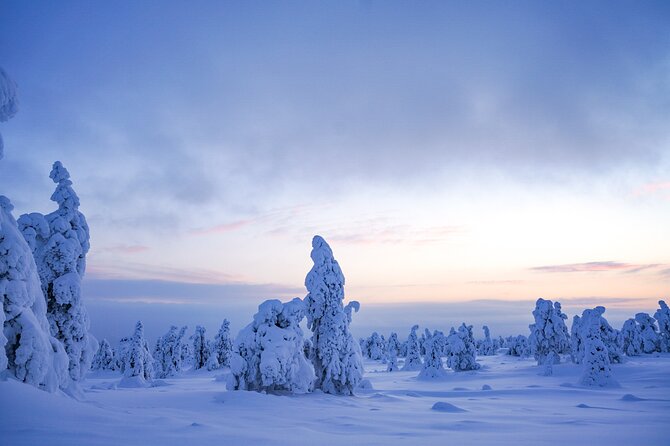 Arctic Adventure through Magical Frozen Forests of Riisitunturi - Price and Included Gear: Is $228.56 Good Value?