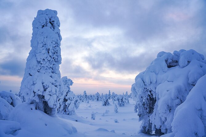 Arctic Adventure through Magical Frozen Forests of Riisitunturi - Should You Book This Tour?