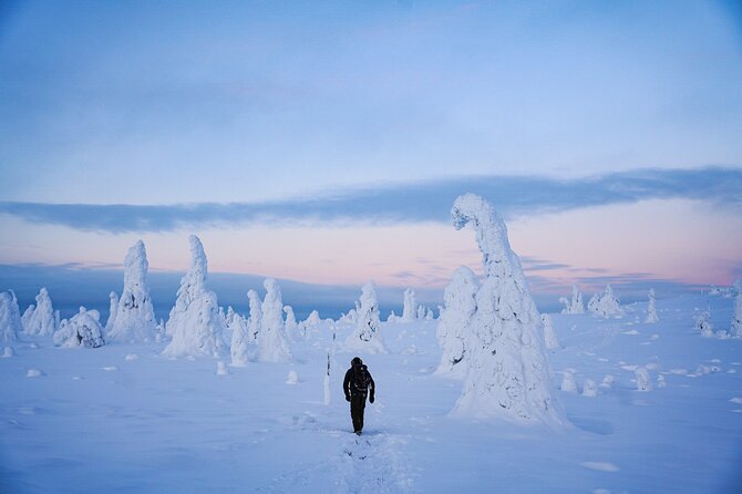 Arctic Adventure through Magical Frozen Forests of Riisitunturi - The 4-Kilometre Winter Hike: Pace, Power, and What You’ll See