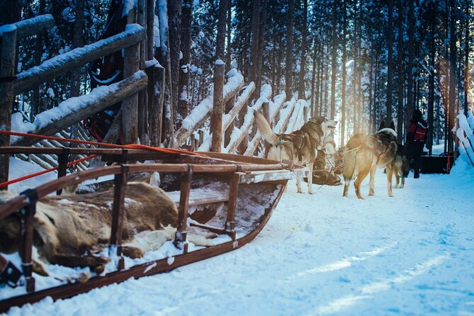 Arctic Animals Combo Safari, Reindeer and Husky Adventure - What you should expect at each stop, from start to fire pit