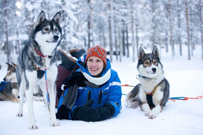 Arctic Circle Family Day - Getting to the Arctic Circle fast: pickup, start time, and what to expect
