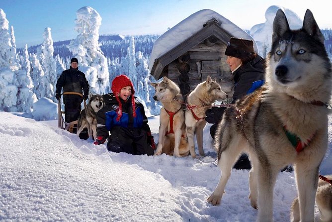 Arctic Circle Family Day - Winter gear included: what you should wear underneath