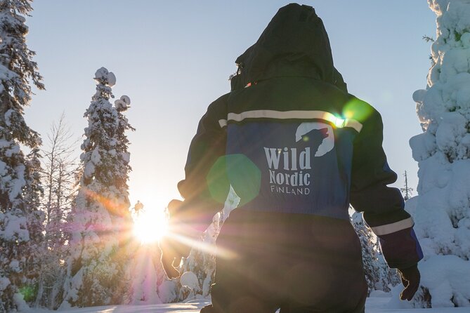 Arctic Circle Snowmobile Safari for Beginners in Rovaniemi - Shared Snowmobiles, Driver Swaps, and the Sleigh Option