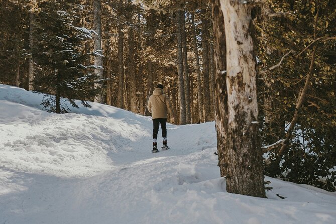Arctic Darkness & Starlight Adventure with Snowshoes - Snowshoes in Lapland: the best way to enjoy Arctic darkness
