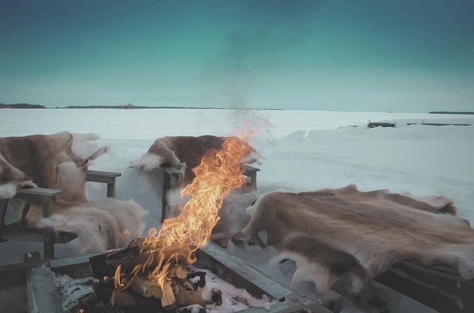 Arctic Darkness & Starlight Adventure with Snowshoes - Who should book this snowshoe-and-aurora experience