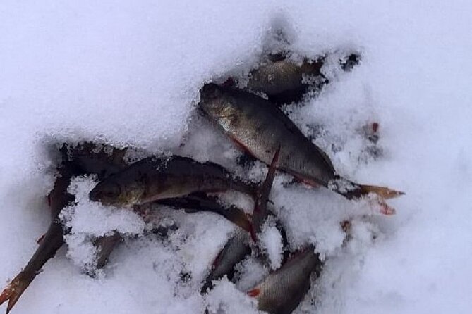 Arctic Day with Ice Fishing and Floating - Arctic day, big feeling: why this combo is so memorable