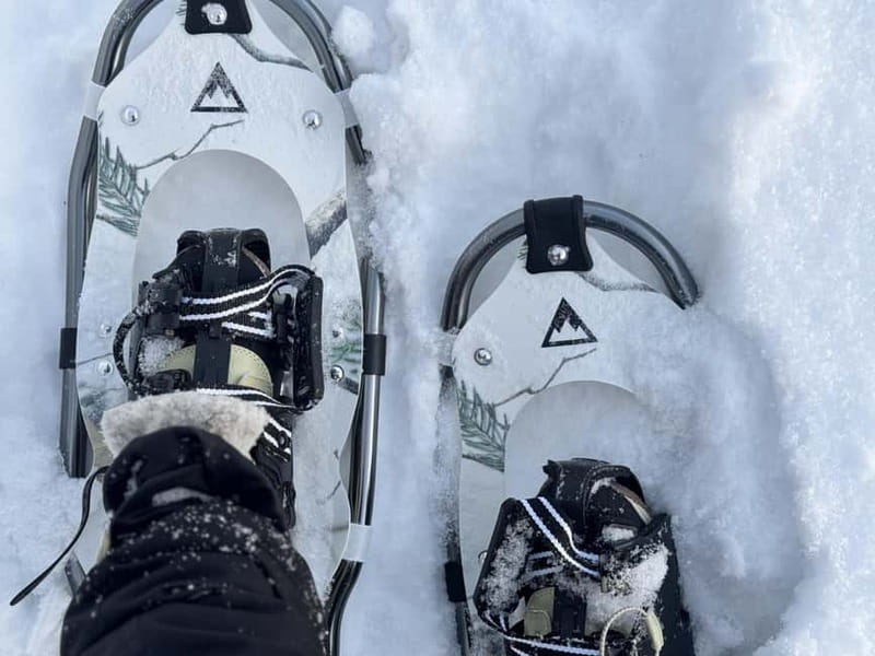 Arctic Gateway: Snowshoeing Expedition in Lapland - Key points that matter before you go