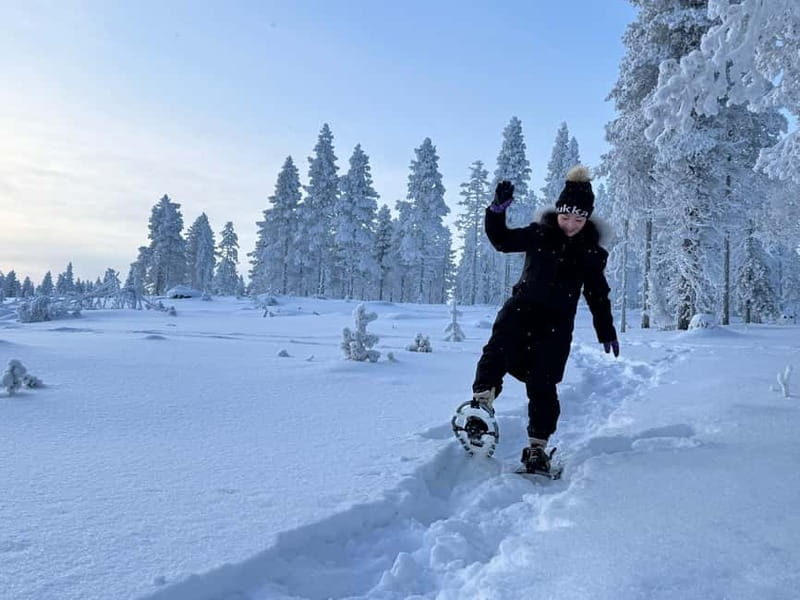Arctic Gateway: Snowshoeing Expedition in Lapland - Lapland snowshoeing with Arctic silence: why this tour clicks