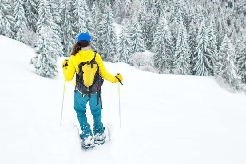 Arctic Gateway: Snowshoeing Expedition in Lapland - What happens before you step into the snow