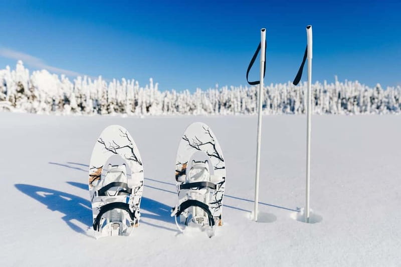 Arctic Gateway: Snowshoeing Expedition in Lapland - Campfire warmth and hot drinks: the break that makes winter feel friendly