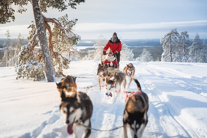Arctic Husky Adventure in Rovaniemi - From Rovakatu 25 to the Arctic Forest: the big picture