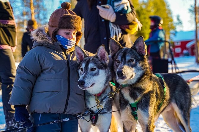 Arctic Husky Adventure in Rovaniemi - The husky sleigh ride: self-driving, speed control, and the 7–10 km route