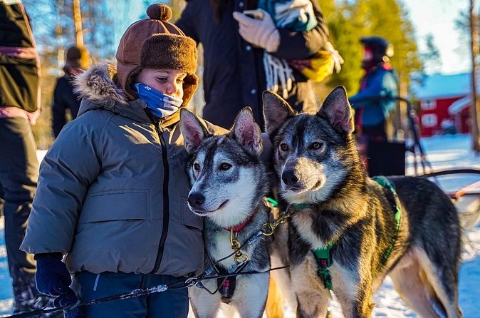Arctic Husky Adventure in Rovaniemi - Kennel visit and the kota break: the warm part you shouldn’t skip