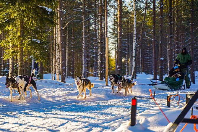 Arctic Husky Adventure in Rovaniemi - Winter clothing and sleigh driving basics: how they set you up