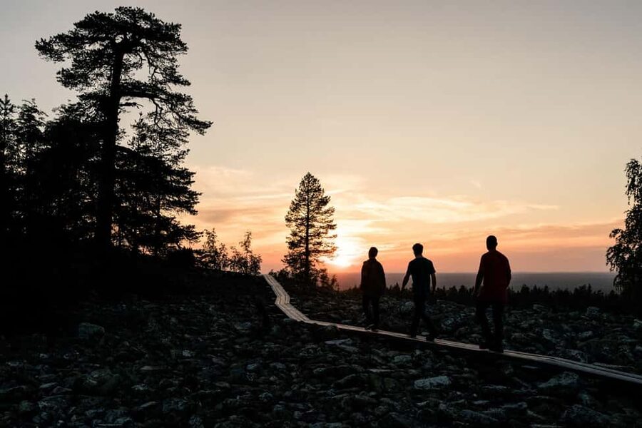 Arctic Wilderness Hike from Rovaniemi (Day & Evening) - Key highlights worth planning for