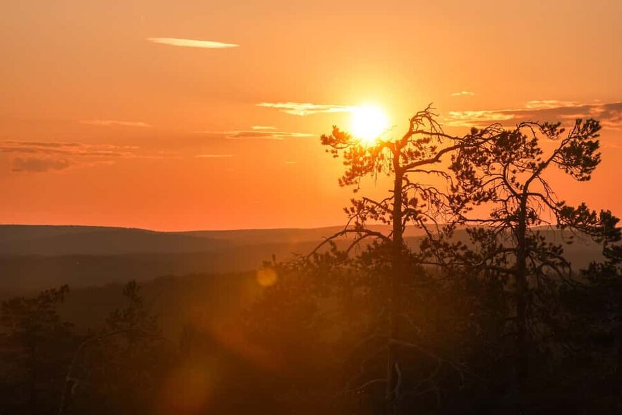Arctic Wilderness Hike from Rovaniemi (Day & Evening) - From Jaakonkatu to the trail: how the evening starts
