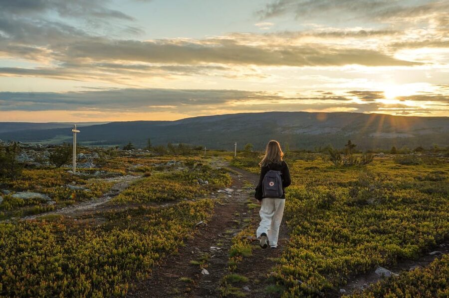 Arctic Wilderness Hike from Rovaniemi (Day & Evening) - Seasonal timing in Rovaniemi: midnight sun, white nights, and aurora hopes