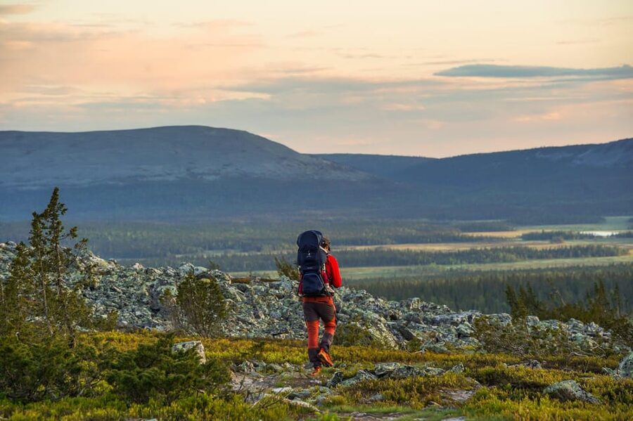Arctic Wilderness Hike from Rovaniemi (Day & Evening) - Price and value: what $117 buys you (and why it can be worth it)