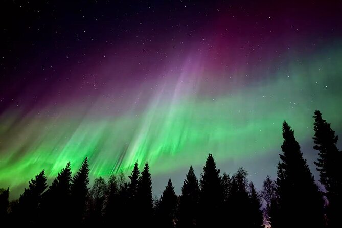 Aurora BBQ in the Private Place in Rovaniemi - Key things I’d circle before you book
