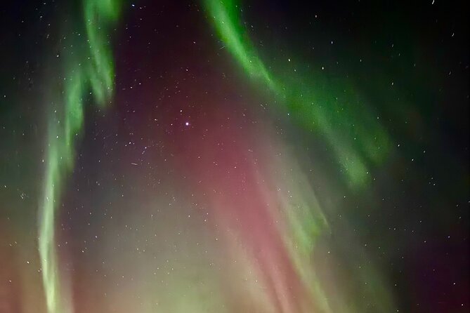 Aurora BBQ in the Private Place in Rovaniemi - What guides actually do for you out there