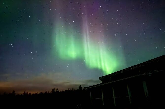 Aurora BBQ in the Private Place in Rovaniemi - Two departure times: choosing what fits your night
