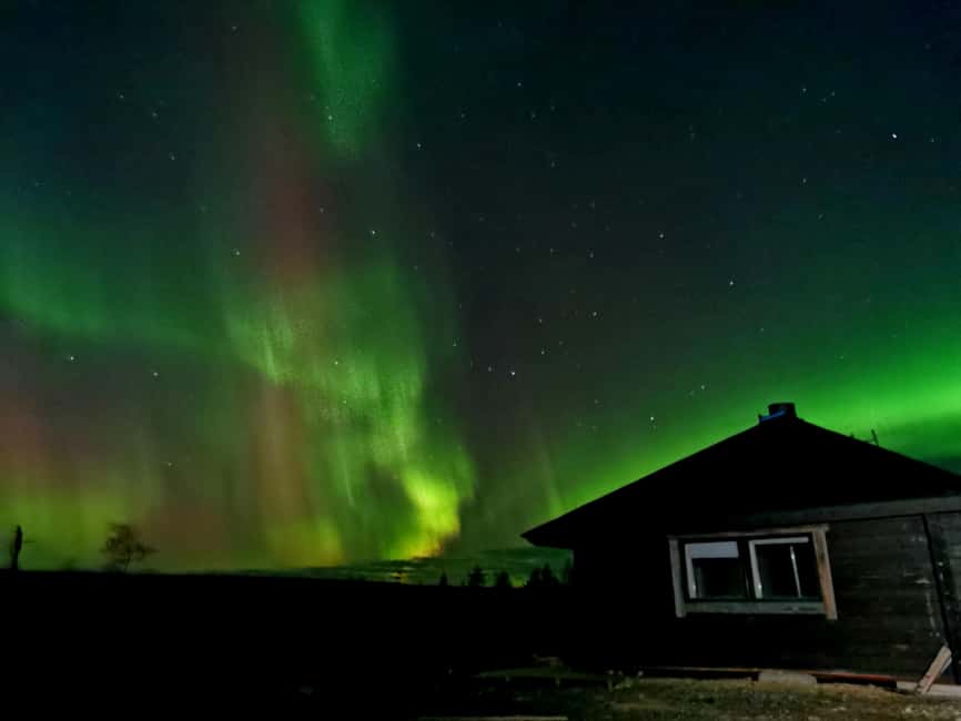 Aurora BBQ in the Private Place in Rovaniemi - Who this Aurora BBQ tour fits best (and who should skip)