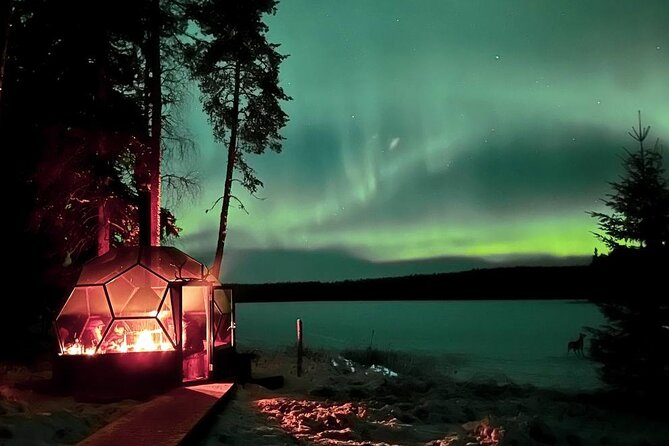 Aurora Borealis Dinner in a Glass Igloo - Entering the frozen-lake world of Rovaniemi aurora dining