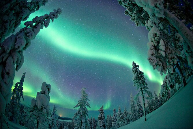 Aurora Borealis Picnic in Rovaniemi - The Picnic Wait: Silence, Commentary, and a Real Sense of the Arctic Night