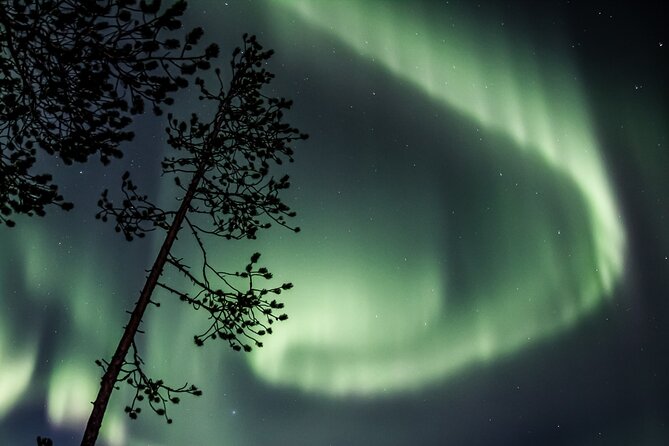 Aurora Borealis Picnic in Rovaniemi - Aurora Borealis Reality Check: Good Odds, No Guarantees